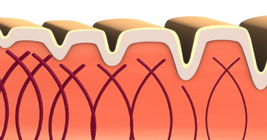 aging skin wrinkles and collagen decline